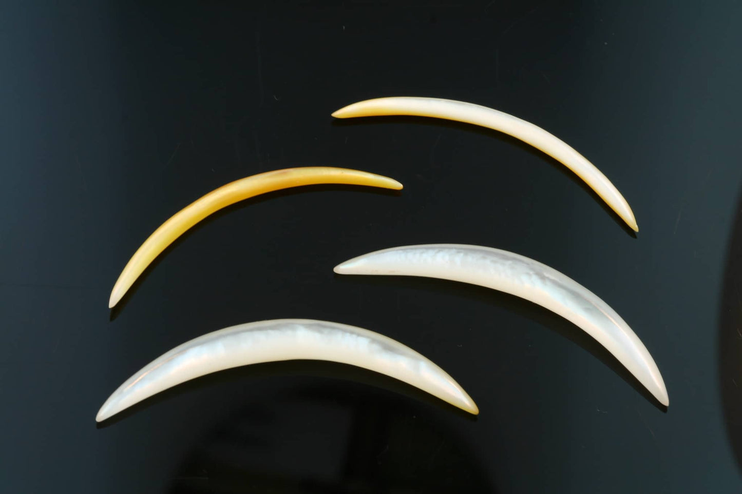 Mother of Pearl Tusks by Peoples Jewelry