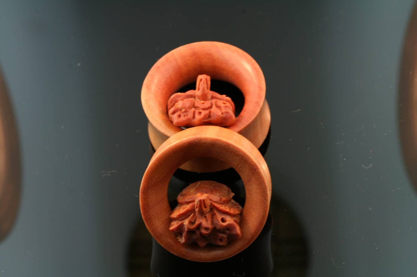 Saba Wood Turtle Plugs/Eyelets