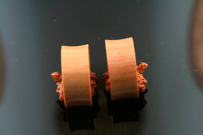 Saba Wood Turtle Plugs/Eyelets