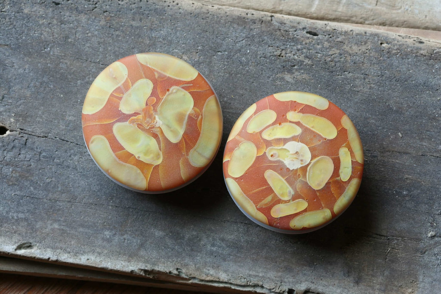 Atlantis plugs Caramel Single Flare 1 1/2" by Gorilla Glass