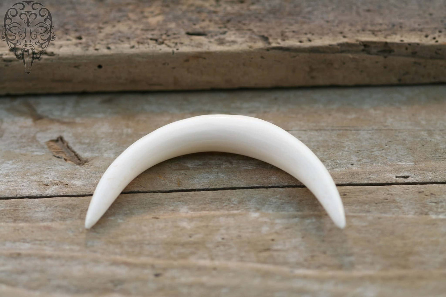 Buffalo Bone Curved Tusks by Peoples Jewelry