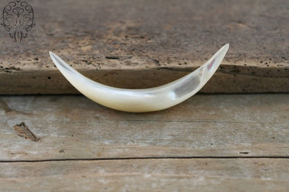 Mother of Pearl Tusks