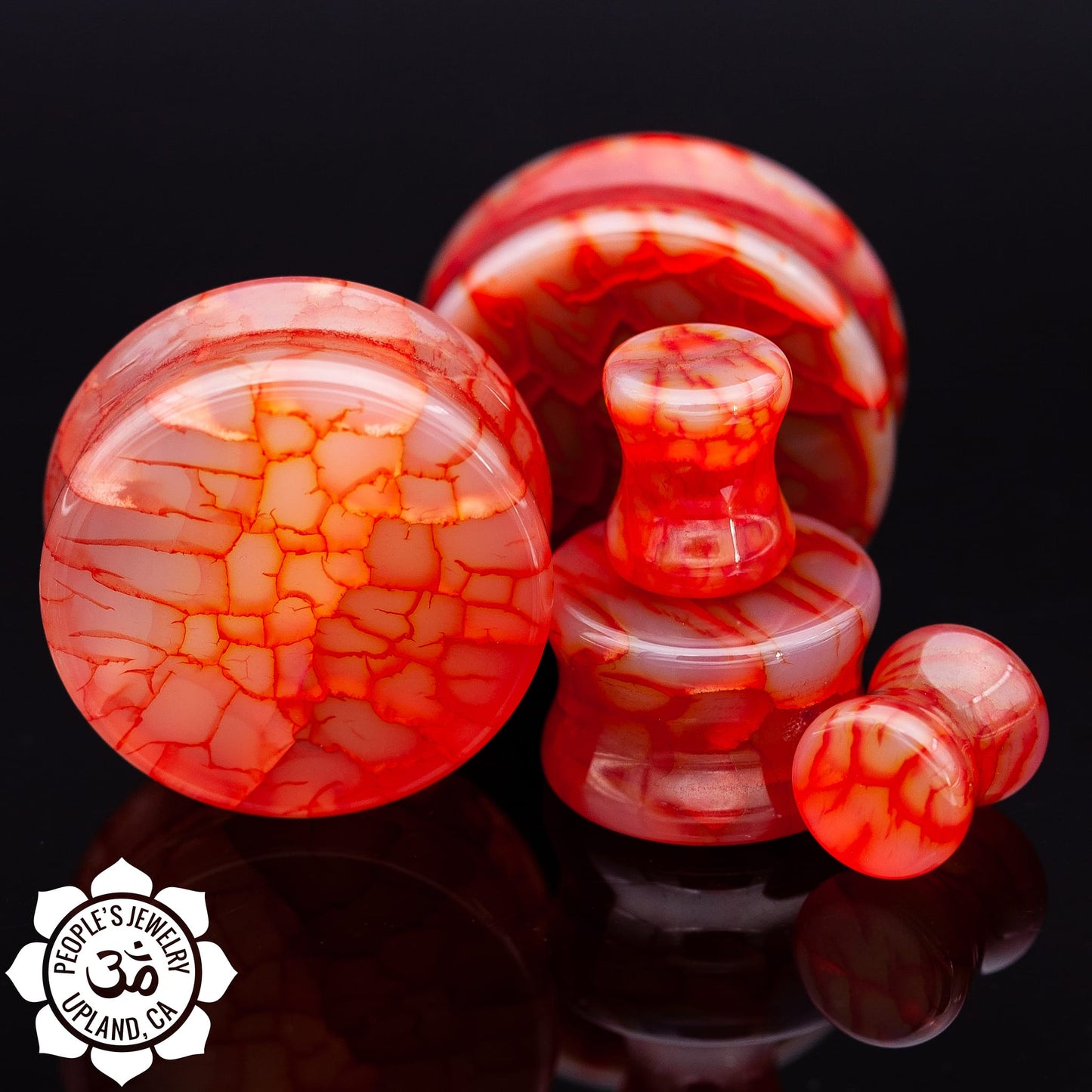 Red dragon vein plugs