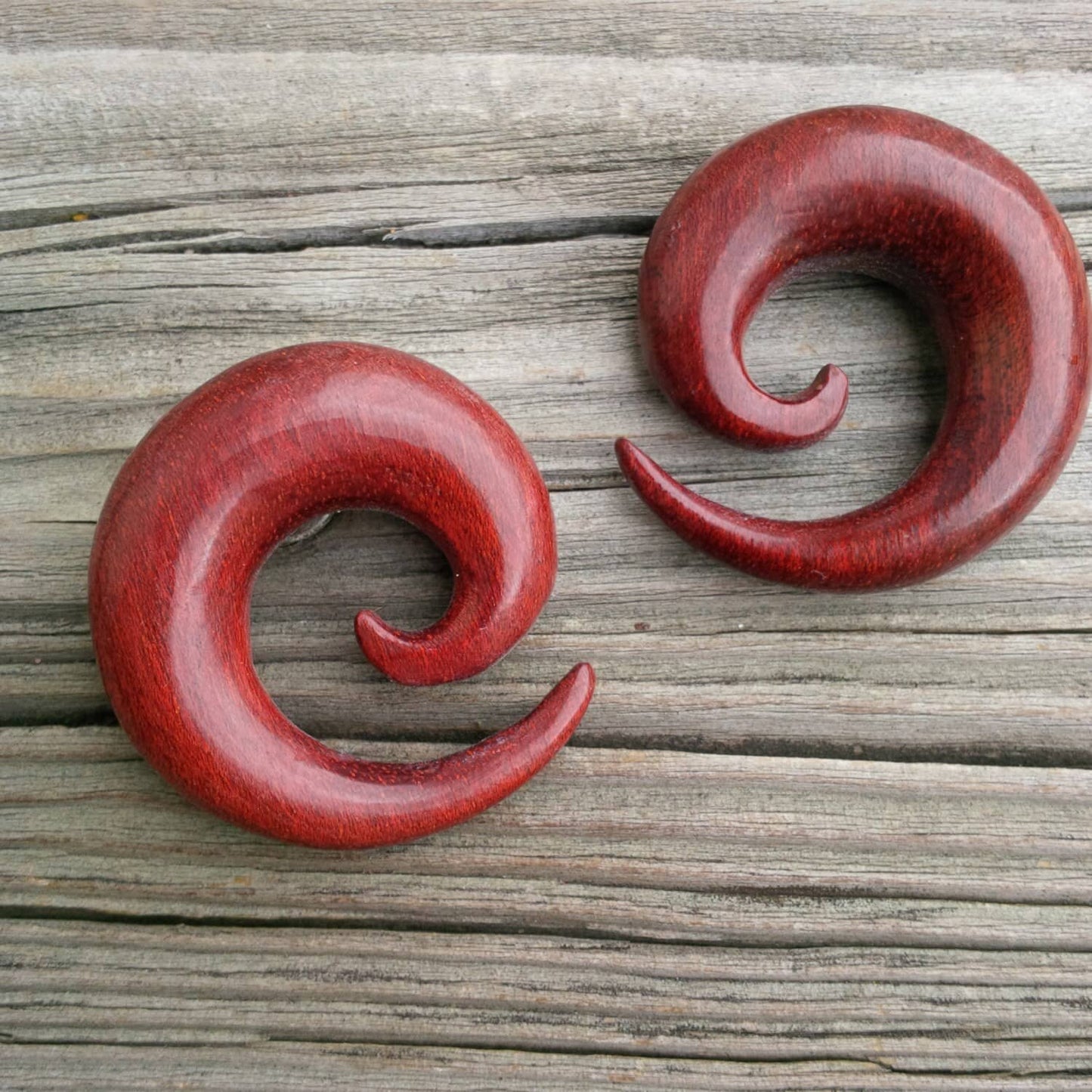 Bloodwood Spirals by People's Jewelry