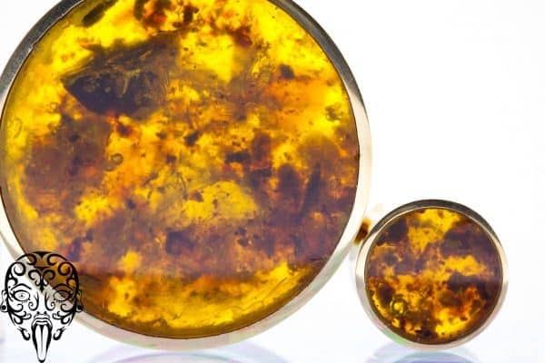 Gold plated amber plugs