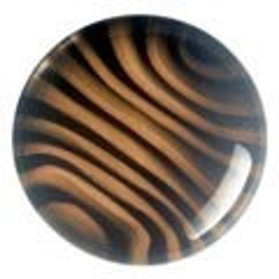 Tiger Stripe Earrings by Gorilla Glass