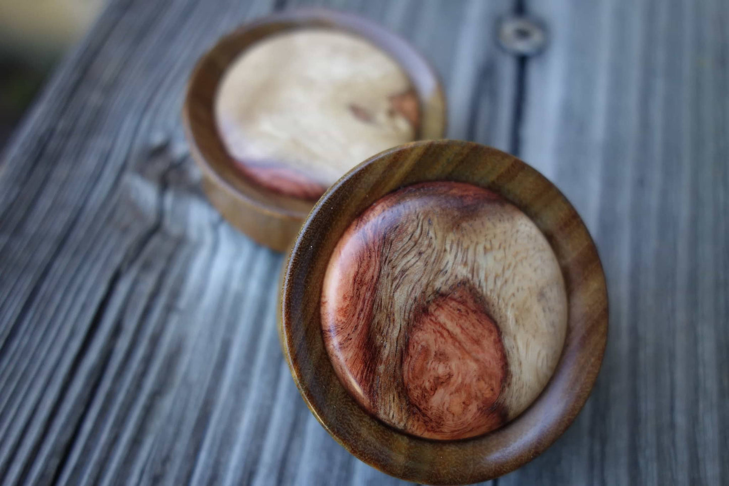 1 1/2" Lignum 2 Tone Amboyna Burl Inlay Plugs